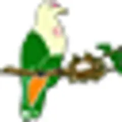 Palau Conservation Society News logo