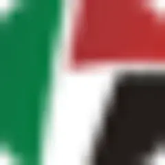 Sawt Al Ghad logo