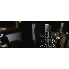Voice of Al Aqsa logo
