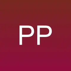 Panamá Ports News logo