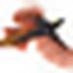 PNG Business News logo