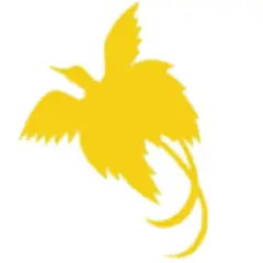 PNGX Publications logo