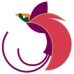 Paradise Magazine logo