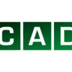 Concepción al Día logo