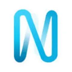 Canal N logo