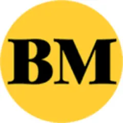 BusinessMirror logo