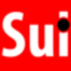 Sul Informação logo