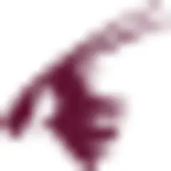 Oryx Magazine logo