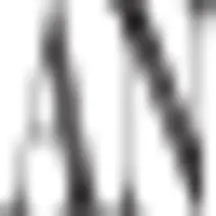 Arab News Qatar logo