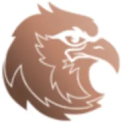 Qatar Chronicle logo