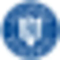 Romanian Government News logo
