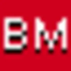 Business Magazin logo