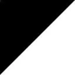 ProSport logo