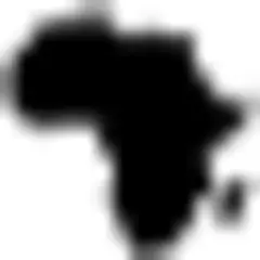 The New Times (Sports) logo