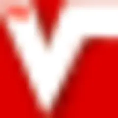The Vincentian logo