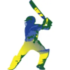 Vincy Premier League News logo