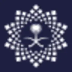 Vision 2030 News logo