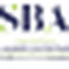 Saudi 2 logo