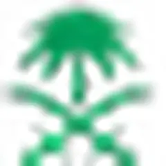 Saudi TV logo