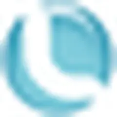 Leral logo