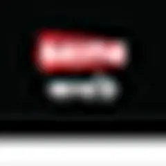 Seneweb logo