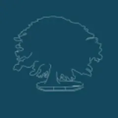 Diaspora Salone logo