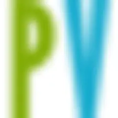 Patriotic Vanguard logo