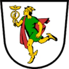 Idrija.com logo