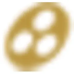 BBS FM logo