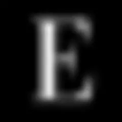 Echelon logo