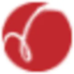 Vikalpa logo