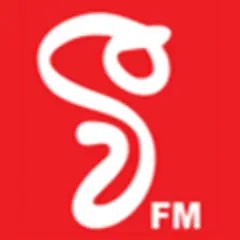 V FM logo