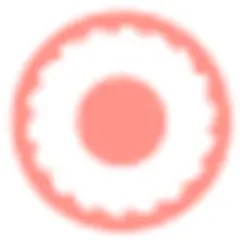 Ridee TV logo