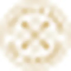 Centrale Bank van Suriname News logo