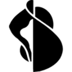 Blue Zoom logo