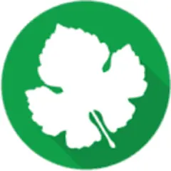Enab Baladi English logo
