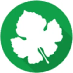 Enab Baladi logo