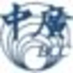 Broadcasting Corporation of China logo