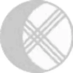 Central Asian Analytical Network logo