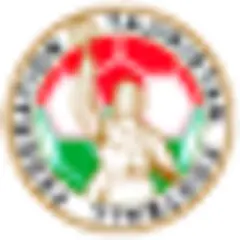 Futbol Tajikistan logo