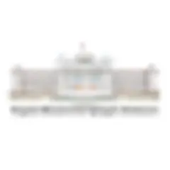 Sadoi Mardum logo