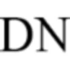 Daily News logo