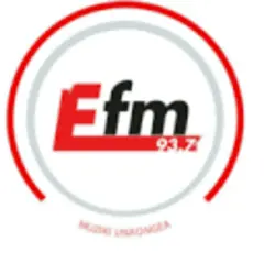 E-FM logo