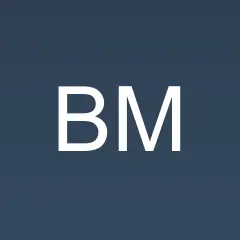 Ban Muang logo
