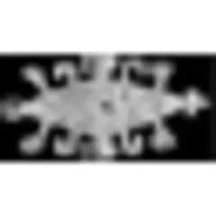 Timor-Leste News (ETAN) logo