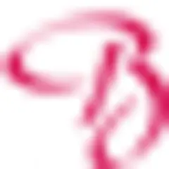 Baya logo