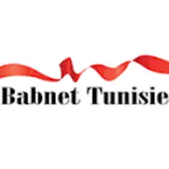 Babnet logo