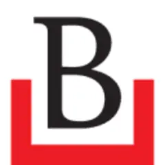 BirGün logo