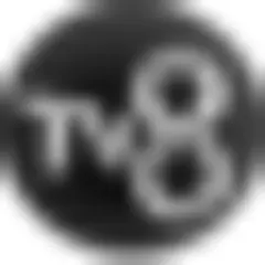 TV8 logo