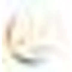 Türkmenistan Sport logo